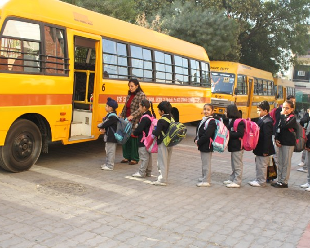transport-1 transport-1